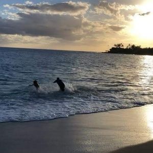 Meet your Posher, Veronica